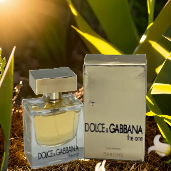 Dolce & Gabbana The One