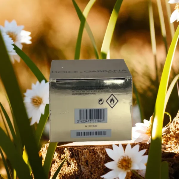 Dolce & Gabbana The One